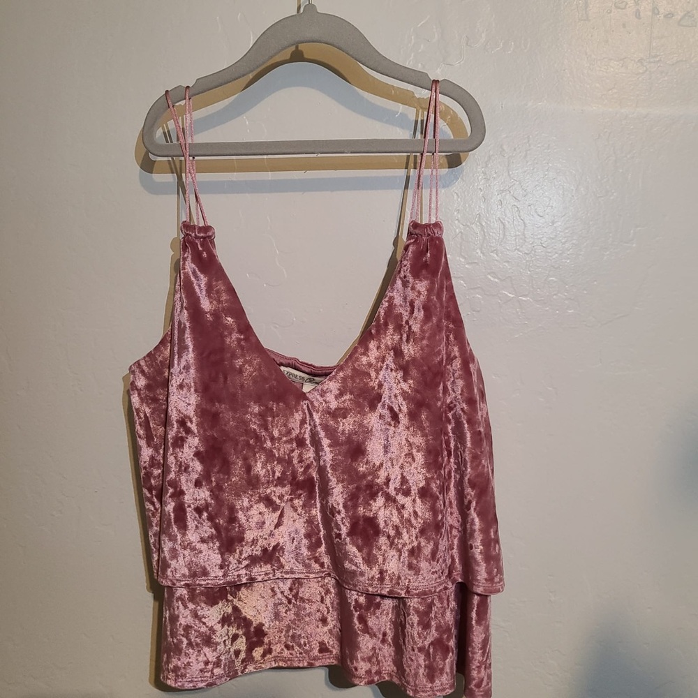 Express Velvet Top